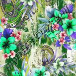 Colour:B