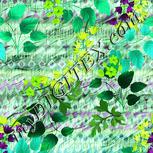 Colour:K