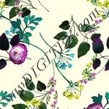 Colour:A