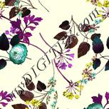 Colour:D