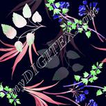 Colour:F