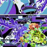 Colour:F