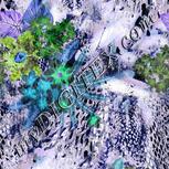 Colour:F