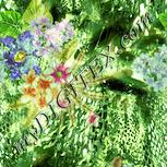 Colour:K