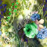 Colour:D