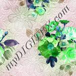 Colour:C