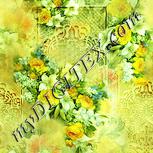 Colour:K