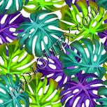 Colour:B