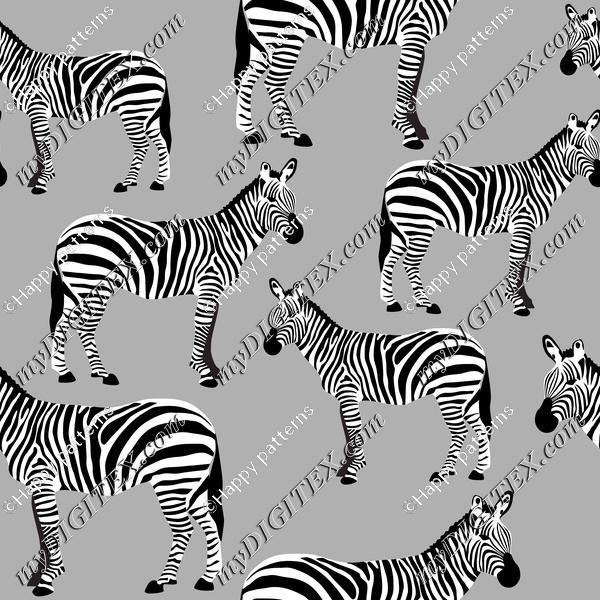 Zebras on Grey