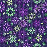 Colour:D
