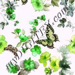 Colour:B