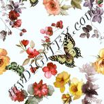 Colour:C