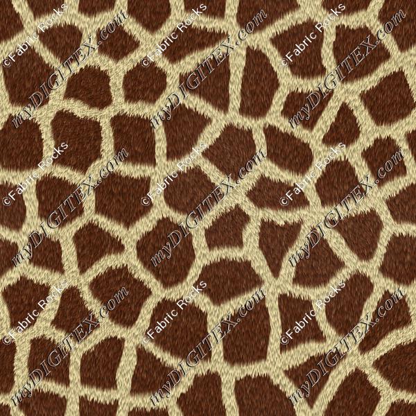 Giraffe Fur