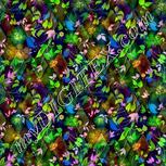 Colour:F