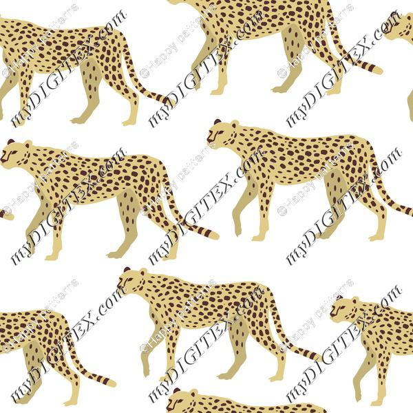 Cheetah, Leopard, Panther on White