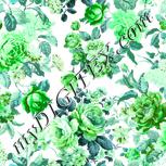 Colour:C