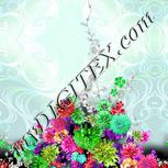 Colour:B