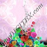 Colour:C