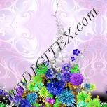 Colour:D