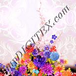 Colour:J