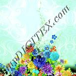 Colour:K