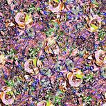 Colour:F
