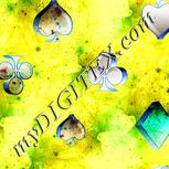 Colour:F