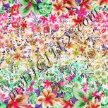 Colour:B
