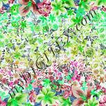 Colour:C