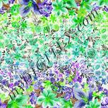 Colour:D