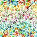 Colour:K