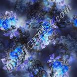 Colour:F