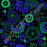 Colour:F