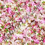 Colour:B