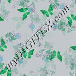 Colour:F