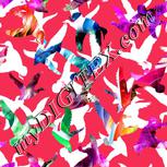 Colour:B