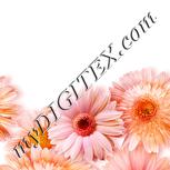 Colour:J