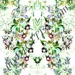 Colour:K