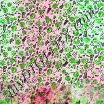 Colour:C