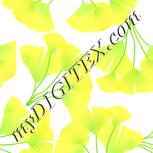Colour:K
