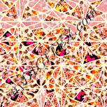 Colour:J