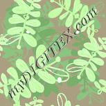 Colour:K
