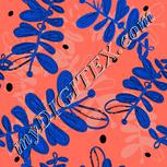 Colour:F