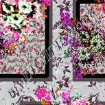 Colour:B