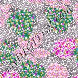 Colour:B