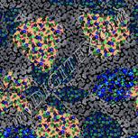 Colour:F