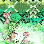 Colour:K