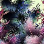 Colour:D