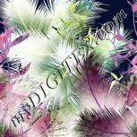 Colour:F