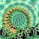 Colour:K